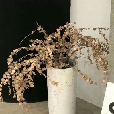 Furry插画细节提升技巧兽圈社群